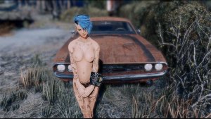 V и Додж. Fallout-4 (Сборка 11)