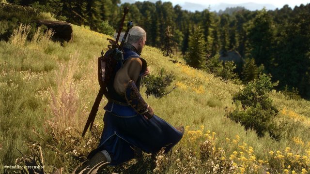 The Witcher 3 Screenshot 2025.04.10 - 23.40.35.63.jpg