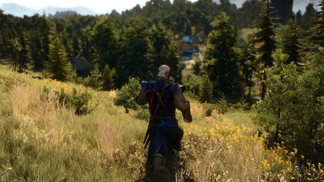 The Witcher 3 Screenshot 2025.04.10 - 23.40.28.42.jpg