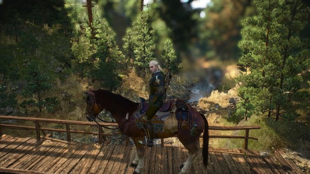 The Witcher 3 Screenshot 2025.05.18 - 18.43.02.13.jpg