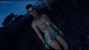 Поселенка. Fallout-4 (Сборка 11)