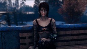 Вечер в Сэнкчуари. Fallout-4 (Сборка 11)