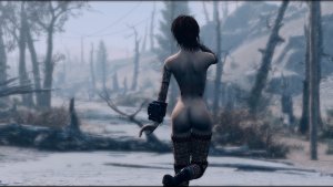 Настроение. Fallout-4 (Сборка 11)