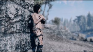 Стены Сэнкчуари. Fallout-4 (Сборка 11)