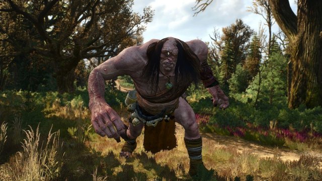 The Witcher 3 Screenshot 2025.05.03 - 22.08.08.10.jpg