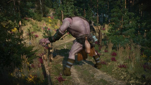 The Witcher 3 Screenshot 2025.05.03 - 22.44.34.80.jpg