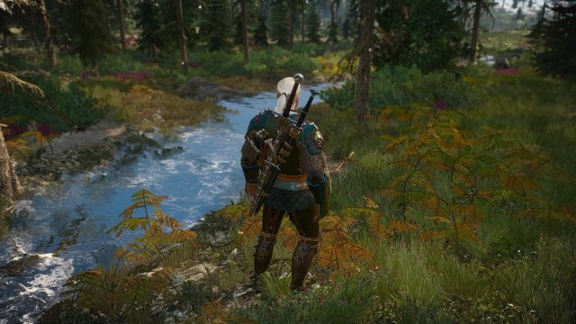 The Witcher 3 Screenshot 2025.05.19 - 23.06.59.29.jpg