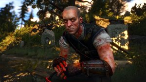 Ведьмак школы Кота.. Ведьмак III (сборка Торна)