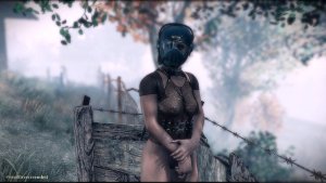 Поселенка на посту.. Fallout-4 (Сборка 11)