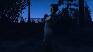 Светлой ночью.. Fallout-4 (Сборка 11)