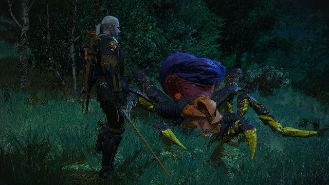 The Witcher 3 Screenshot 2025.05.21 - 22.33.22.97.jpg