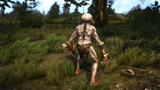 The Witcher 3 Screenshot 2025.04.27 - 19.00.16.81.jpg