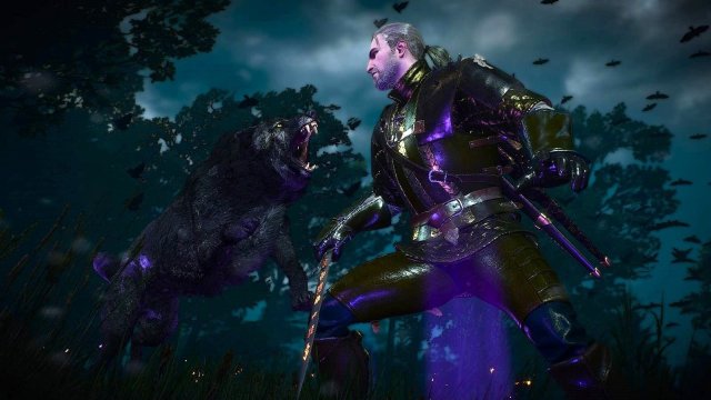 The Witcher 3 Screenshot 2025.04.28 - 21.43.48.56.jpg