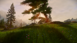 Skyrim SE - Дубы-колдуны ))