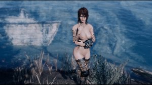 Nel. Fallout-4 (Сборка 11)