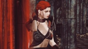 Цвета крови.. SKYRIM AE (Сборка 16)