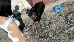 Пойдем гулять?