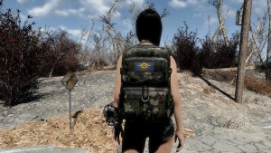 Нора собралась в путь.. Fallout-4 (Сборка 12)