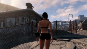 Таинственные сосны..