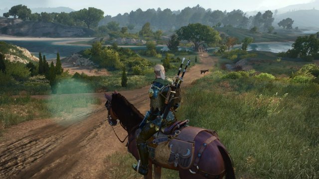 The Witcher 3 Screenshot 2025.06.18 - 22.13.13.38.jpg