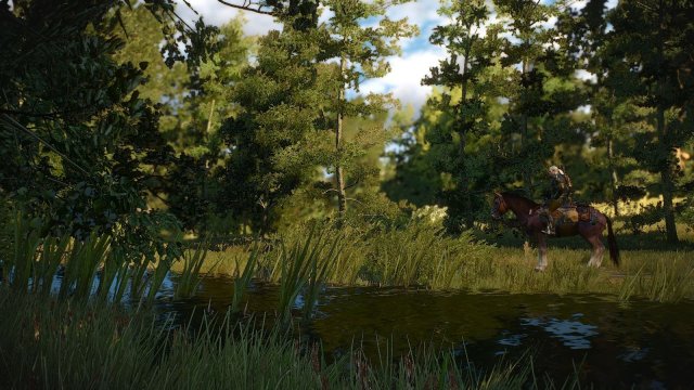 The Witcher 3 Screenshot 2025.05.20 - 23.46.56.94.jpg