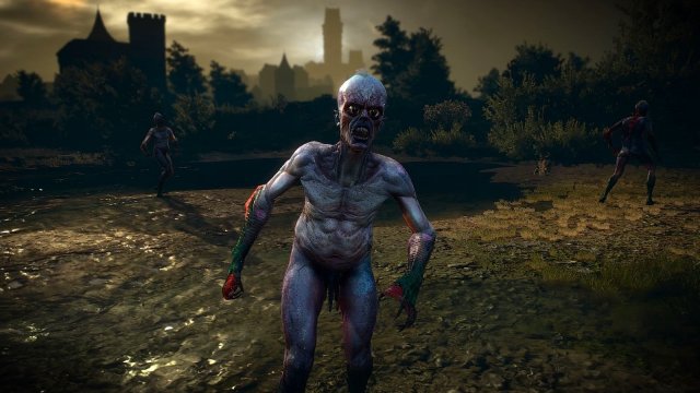 The Witcher 3 Screenshot 2025.04.30 - 22.08.05.46.jpg