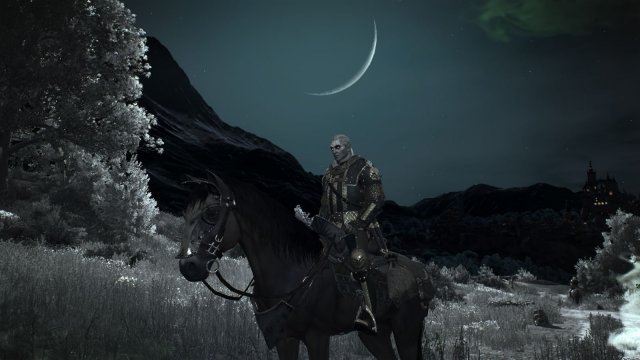 The Witcher 3 Screenshot 2025.06.14 - 22.02.40.05.jpg