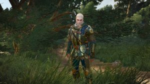 Образный Геральт.. Ведьмак III (сборка Торна)