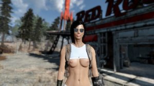 Собралась в путь.. Fallout-4 (Сборка 12)