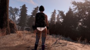 Собралась опять в дорогу.