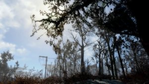 Пейзажик. Fallout-4 (Сборка 12)