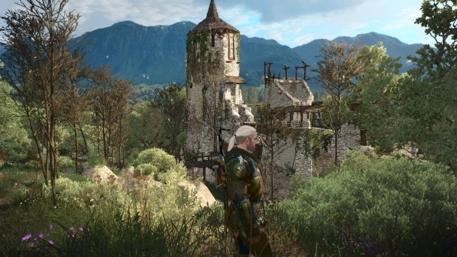 The Witcher 3 Screenshot 2025.06.05 - 22.51.56.77.jpg