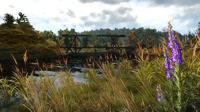 The Witcher 3 Screenshot 2025.05.25 - 22.33.40.58.jpg