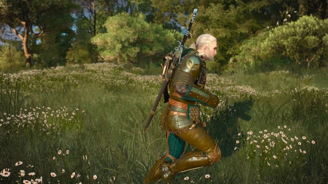 The Witcher 3 Screenshot 2025.11.10 - 21.23.08.89.jpg