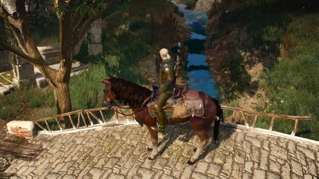 The Witcher 3 Screenshot 2025.11.11 - 22.05.13.33.jpg