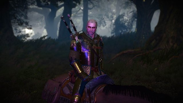 The Witcher 3 Screenshot 2025.06.04 - 22.28.18.18.jpg