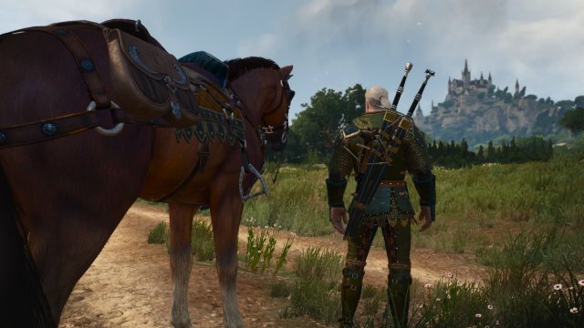 The Witcher 3 Screenshot 2025.11.11 - 22.00.22.03.jpg