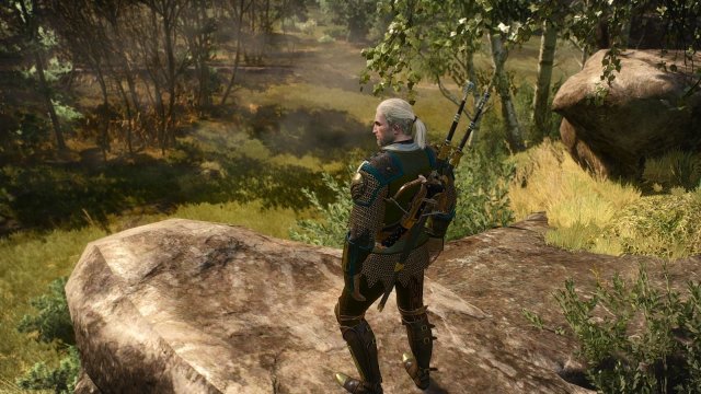 The Witcher 3 Screenshot 2025.05.25 - 22.37.37.37.jpg