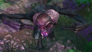 Древний вампир, подвид Катакана. Ведьмак III