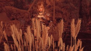 Пшеница. SKYRIM AE (Сборка 16)