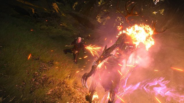 The Witcher 3 Screenshot 2025.11.12 - 21.20.41.95.jpg