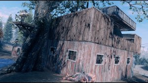 Новое поселение..