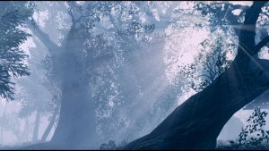 Туманный пейзаж. Fallout-4 (Сборка 11)