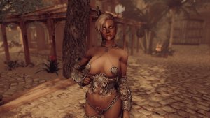 Хускарл Рая в Вайтране. SKYRIM AE (Сборка 16)