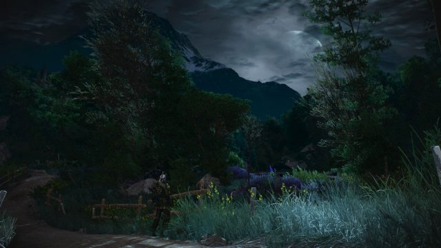 The Witcher 3 Screenshot 2025.06.03 - 21.43.41.45.jpg