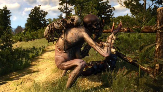 The Witcher 3 Screenshot 2025.05.01 - 21.42.57.04.jpg