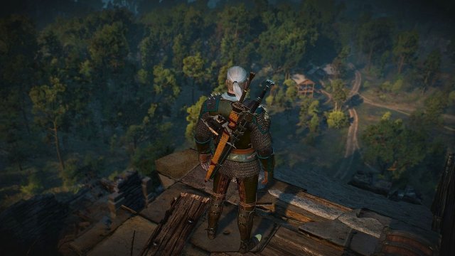 The Witcher 3 Screenshot 2025.05.26 - 21.31.09.99.jpg