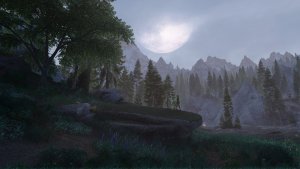 А по ночам они выходят..