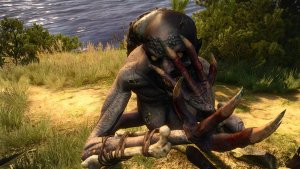 ВОДЯНАЯ БАБА, или монстры мира Ведьмак III