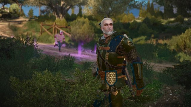 The Witcher 3 Screenshot 2025.11.10 - 21.00.58.80.jpg